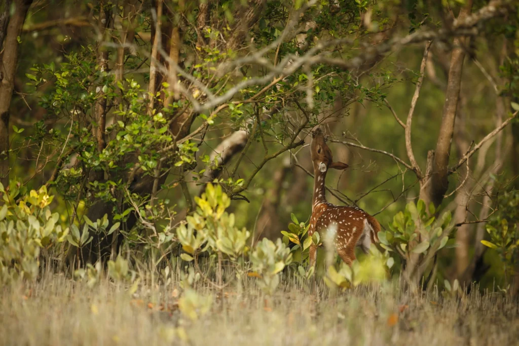 best-places-in-Chhattisgarh