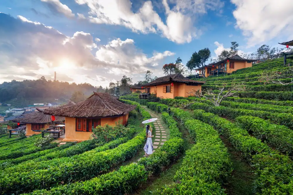 best-places-to-visit-in-west-bengal