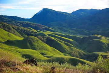 Best places to visit In Nagaland
