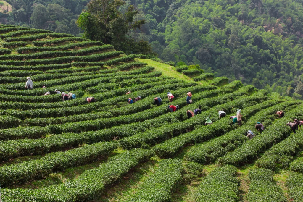 places-to-visit in-Kerala
