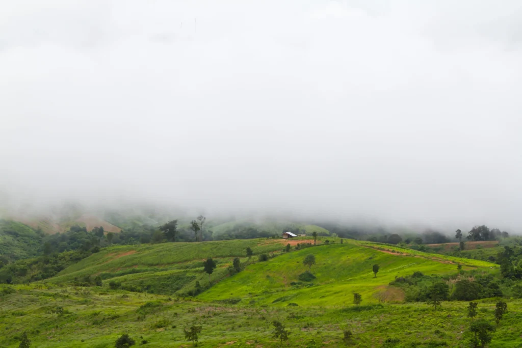 places-to-visit in-Kerala