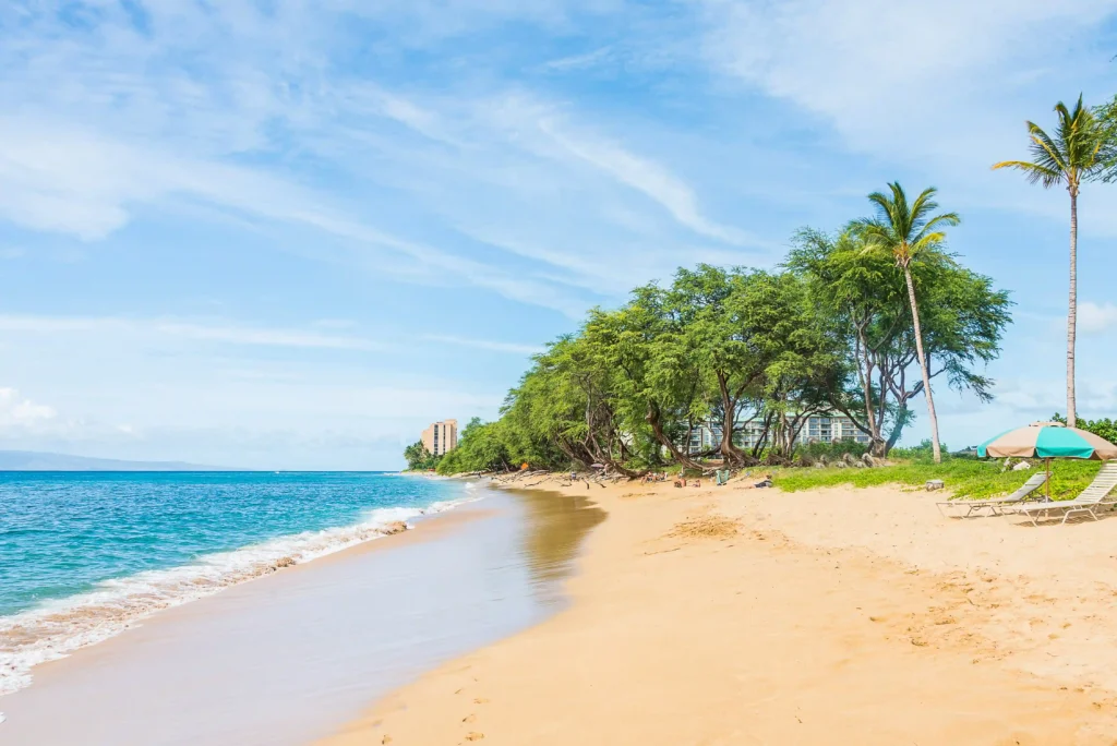 best-places-to-visit-in-goa